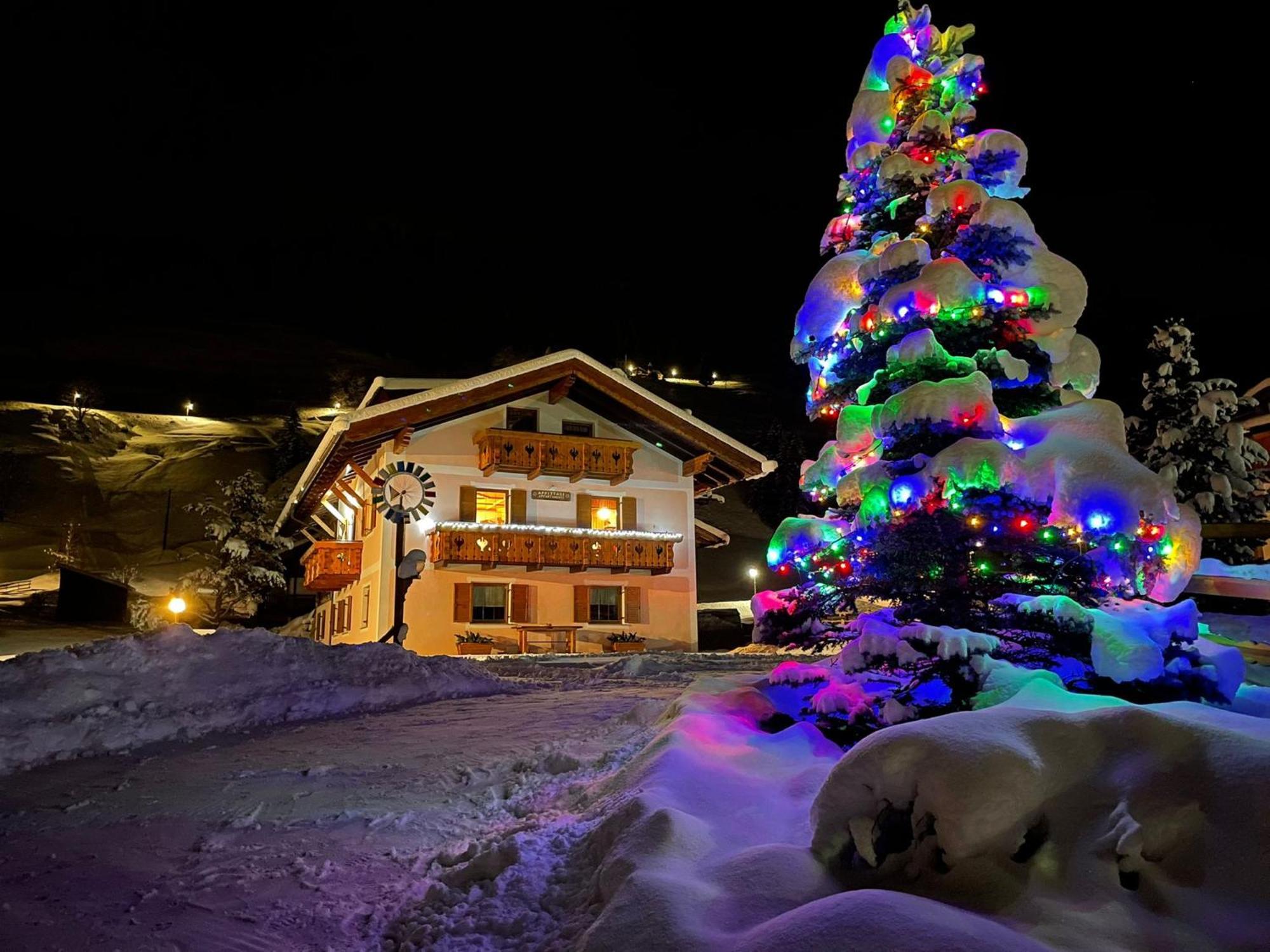 Cesa Mandi e Miky Canazei Exterior foto
